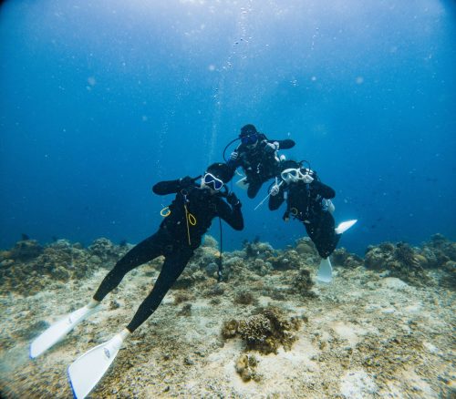C:DCIM100GOPROGOPR1899.GPR