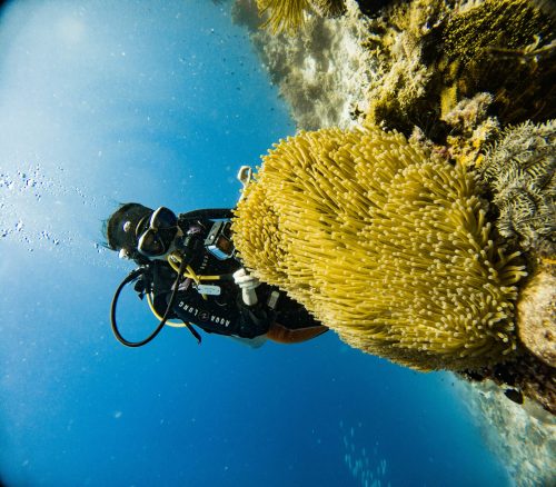 C:DCIM100GOPROGOPR2063.GPR