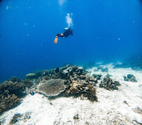 C:DCIM104GOPROGOPR8024.GPR