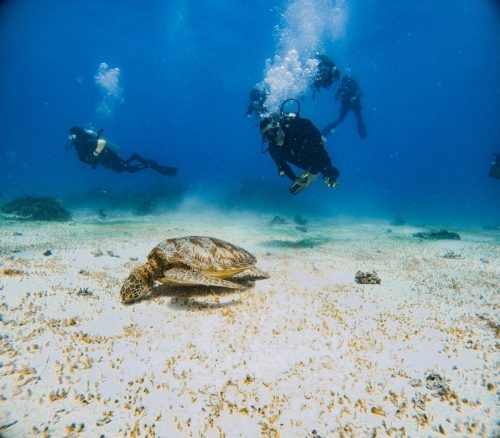 C:DCIM104GOPROGOPR8045.GPR