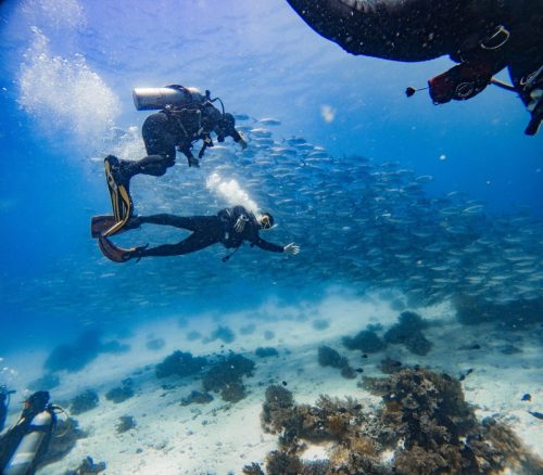 C:DCIM104GOPROGOPR8050.GPR