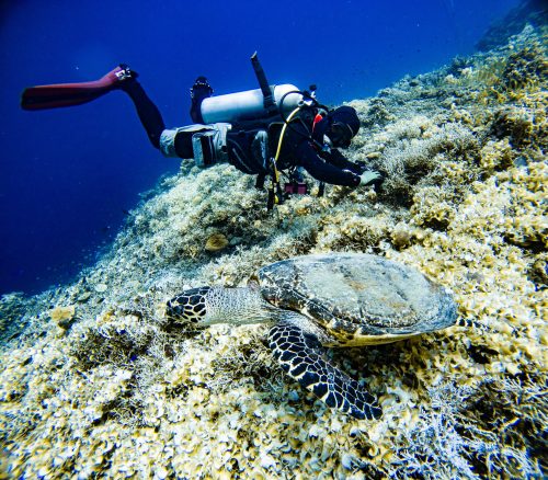 C:DCIM104GOPROGOPR8547.GPR