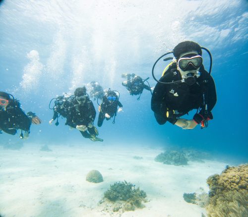 C:DCIM101GOPROGOPR8895.GPR